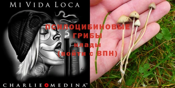 MESCALINE Аркадак