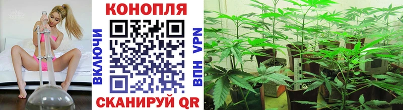 купить наркоту  Аша  Каннабис Ganja 