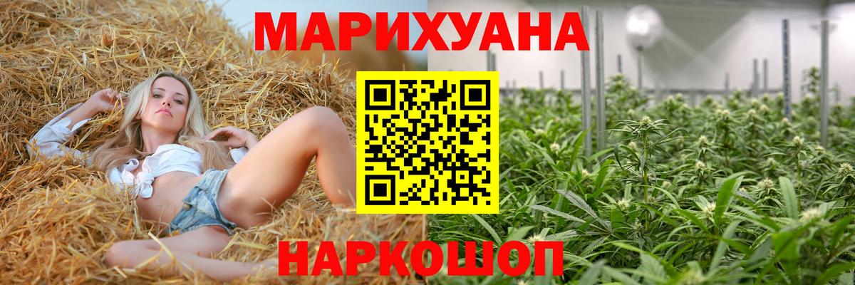Бошки марихуана SATIVA & INDICA Аша